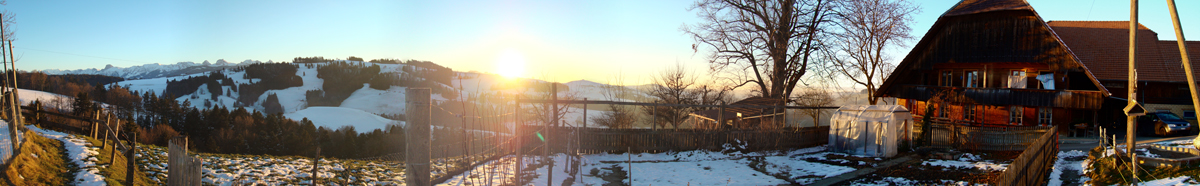 Banner 5