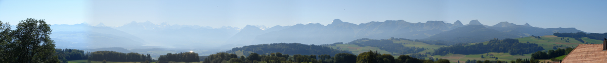 Banner 6